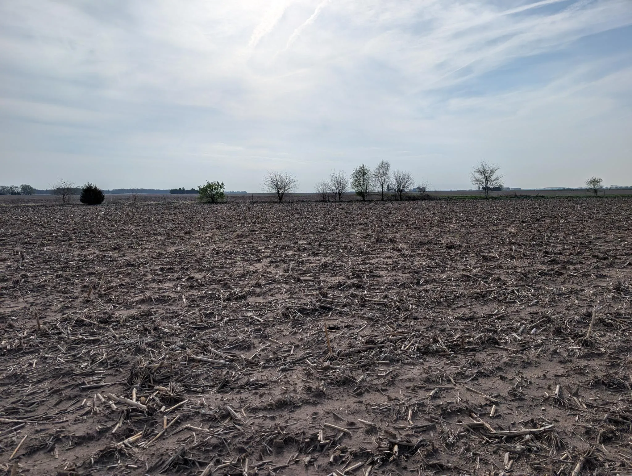 A freshly disced field running to a distant treeline