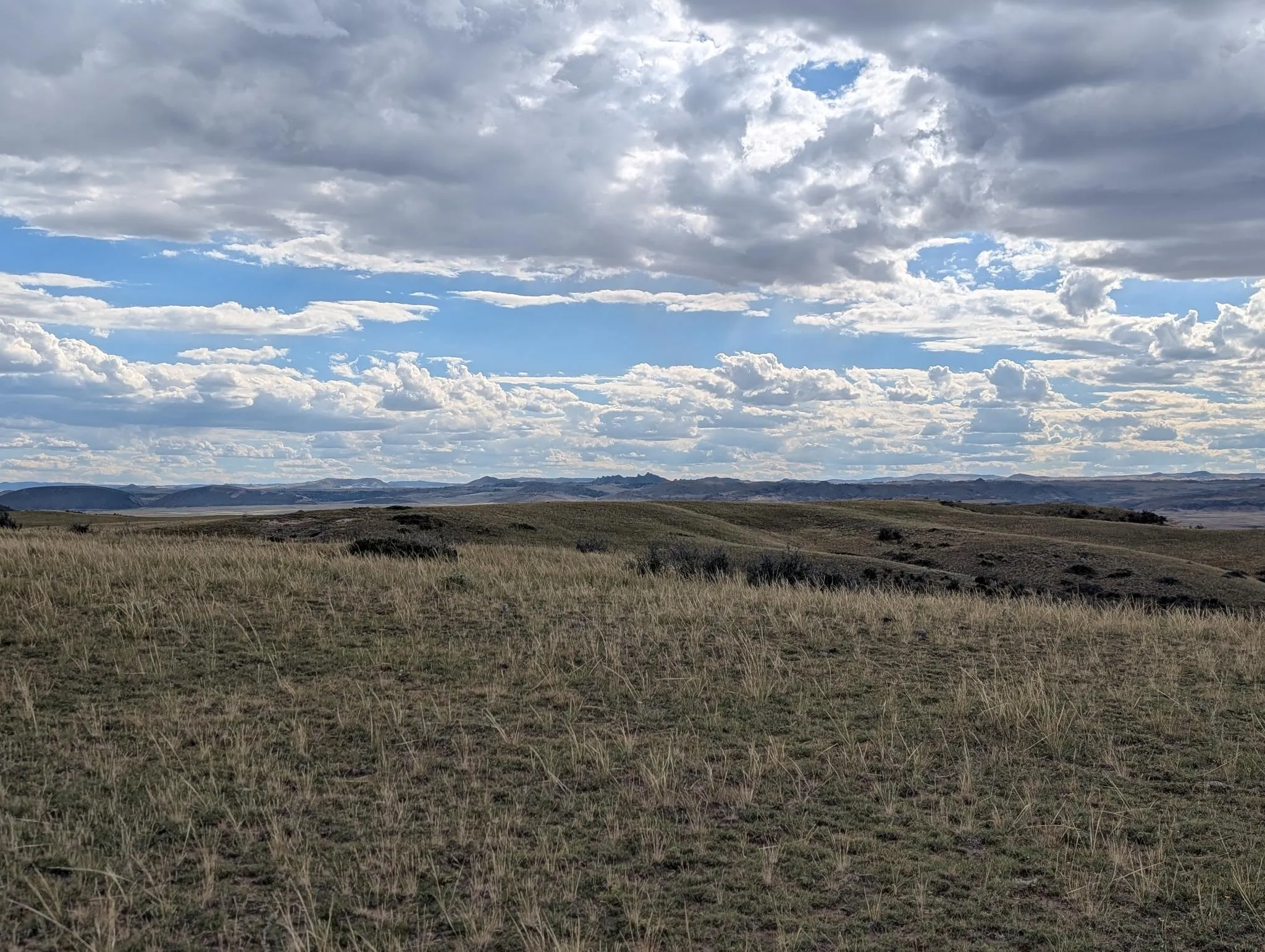 Open shortgrass prairie running to a badland ridge under broken cloud