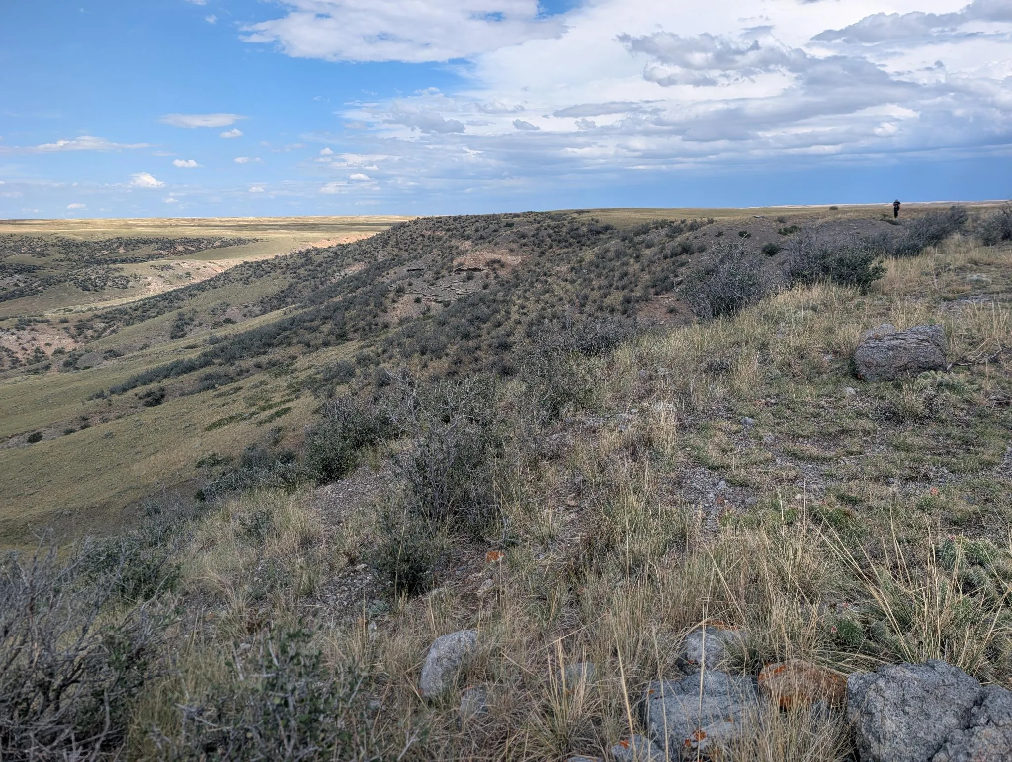 A lone figure on a sagebrush ridge above an open basin